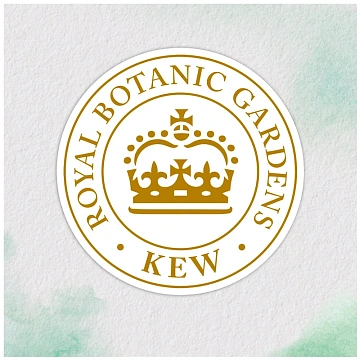 Шампунь Herbal Essences Марокканское аргановое масло, 400мл