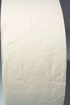 Туалетная бумага Protissue С350 в рулоне, 1 слой, 525м, белая