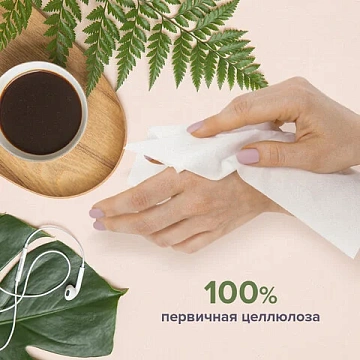 Косметические салфетки Laima 100шт, 20х20см, 2 слоя