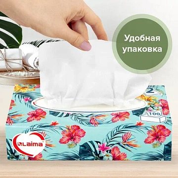 Салфетки косметические 100 шт. в картонном боксе 2-слойные, LAIMA 'Everyday', 20х20 см, 113588