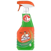 Чистящее средство для стекол Mr.Muscle 530мл, Утренняя роса, с нашатырным спиртом, спрей