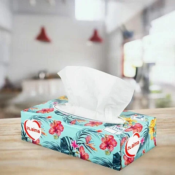 Салфетки косметические 100 шт. в картонном боксе 2-слойные, LAIMA 'Everyday', 20х20 см, 113588